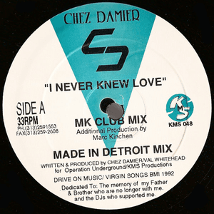 I Never Knew Love by Chez Damier