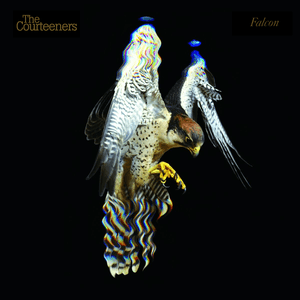 Falcon [Bonus Disc] by The Courteeners