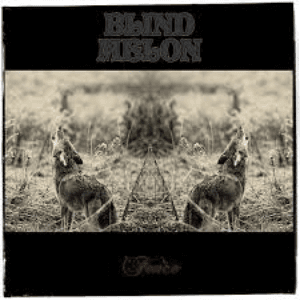 Fence by Blind Melon