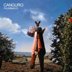 Canguro by Fulminacci