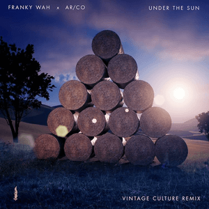 Under The Sun (Vintage Culture Remix) by Franky Wah