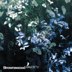 brownswood electric by Rockwell