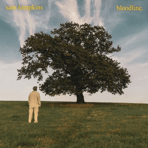 Bloodline by Sam Tompkins