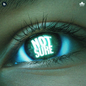 Not Sure by Cheema Y & Gur Sidhu