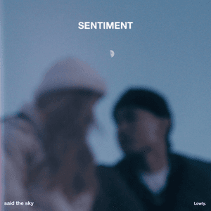 Sentiment by Said The Sky