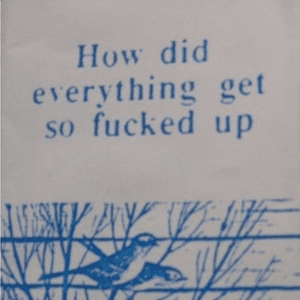 How Did Everything Get So Fucked Up by The Cat’s Miaow