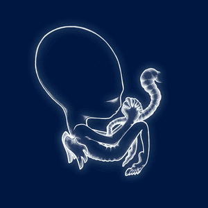 Ágætis byrjun by Sigur Rós
