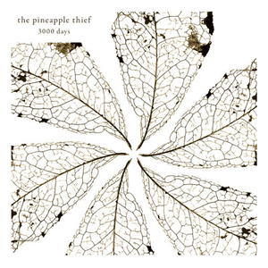 3000 Days by The Pineapple Thief