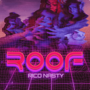 Roof by Rico Nasty
