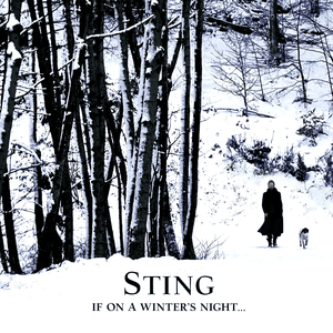 If On A Winter's Night by Sting