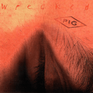 Wrecked by PIG