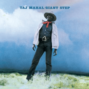 Giant Step by Taj Mahal