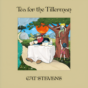 Tea For The Tillerman (Super Deluxe) by Yusuf / Cat Stevens