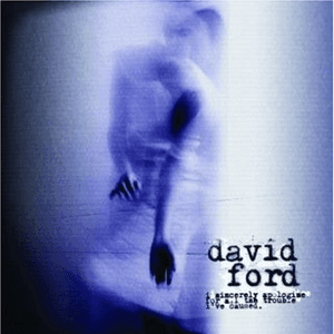 I Sincerely Apologize For All The Trouble I've Caused by David Ford