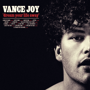 Dream Your Life Away by Vance Joy