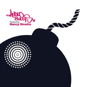Shot You Down by Audio Bullys