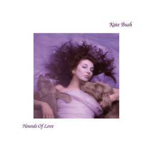 Hounds of Love by Kate Bush