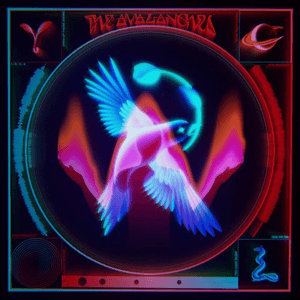 Wherever You Go / Reflecting Light by The Avalanches