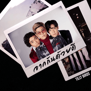 จากกันด้วยดี (Ordinary) - Single by Tilly Birds