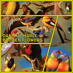 Broken Flowers - EP by Danny L Harle