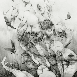 The Last Dawn by Mono
