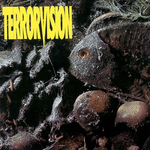 Formaldehyde by Terrorvision