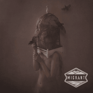 Migrant by The Dear Hunter