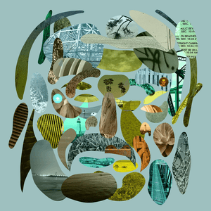 Santa Cruz by Pedro the Lion