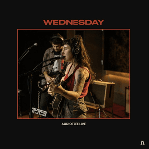 Wednesday on Audiotree Live by Wednesday