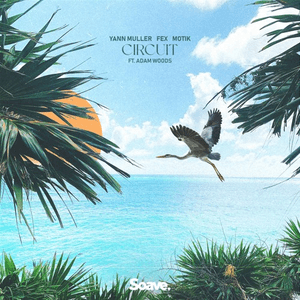 Circuit by Yann Muller