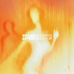 24h In A Disco by Zerb