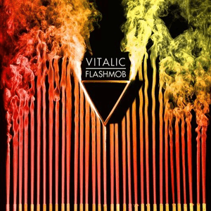 Flashmob by Vitalic