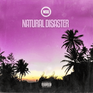 Natural Disaster by NSG