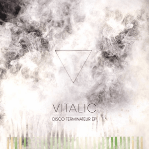 Disco Terminateur EP by Vitalic