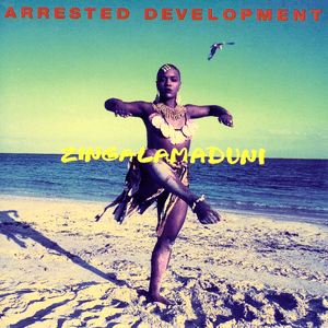 Zingalamaduni by Arrested Development