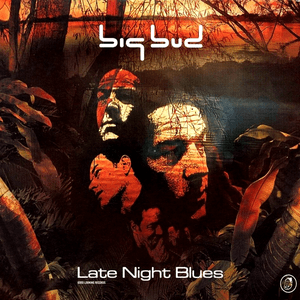 Late Night Blues by Big Bud