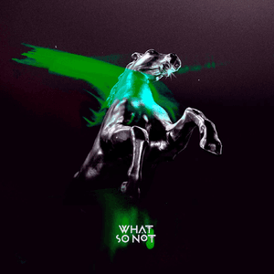 Not All The Beautiful Things (Remixes) by What So Not
