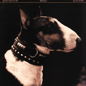 Here Comes Your Man by Pixies