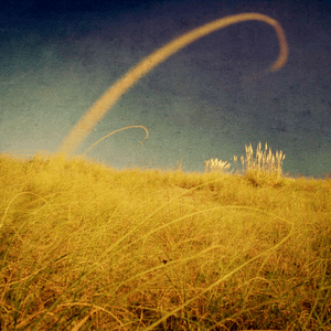 Move on - In My Head by Fred V