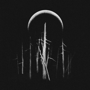 The Faerie Court (Under Moon) - Single by CLANN