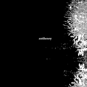 As We Kill The Night by antihoney