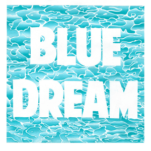 Blue Dream by Turnover