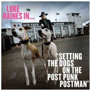 Setting The Dogs On The Post Punk Postman by Luke Haines