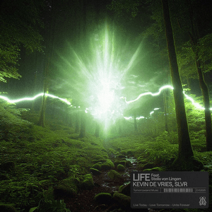 Life by Kevin de Vries