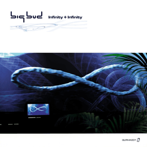 Infinity + Infinity by Big Bud