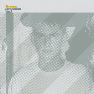 Skreamizm vol. 3 by Skream