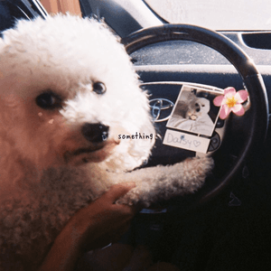 something by gnash