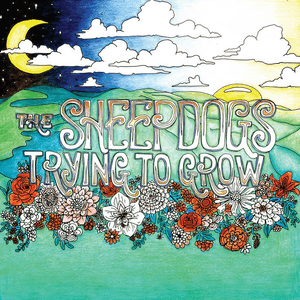 Trying to Grow by The Sheepdogs