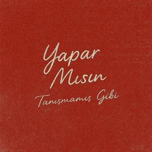 YAPAR MISIN? by Poizi