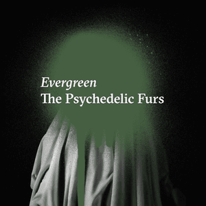 Evergreen by The Psychedelic Furs